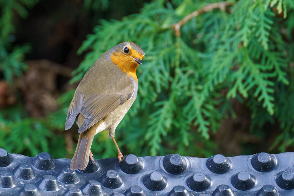 Überbewertete Anlagetipps: So investieren Sie wirklich erfolgreich
