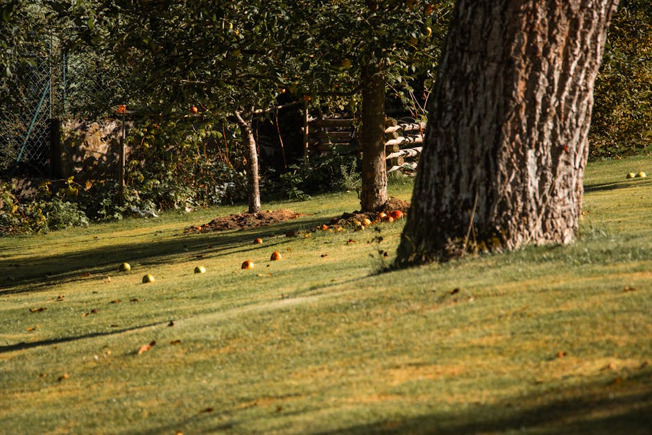 Was im November pflanzen? Ihr Garten-Guide für eine frühe Ernte