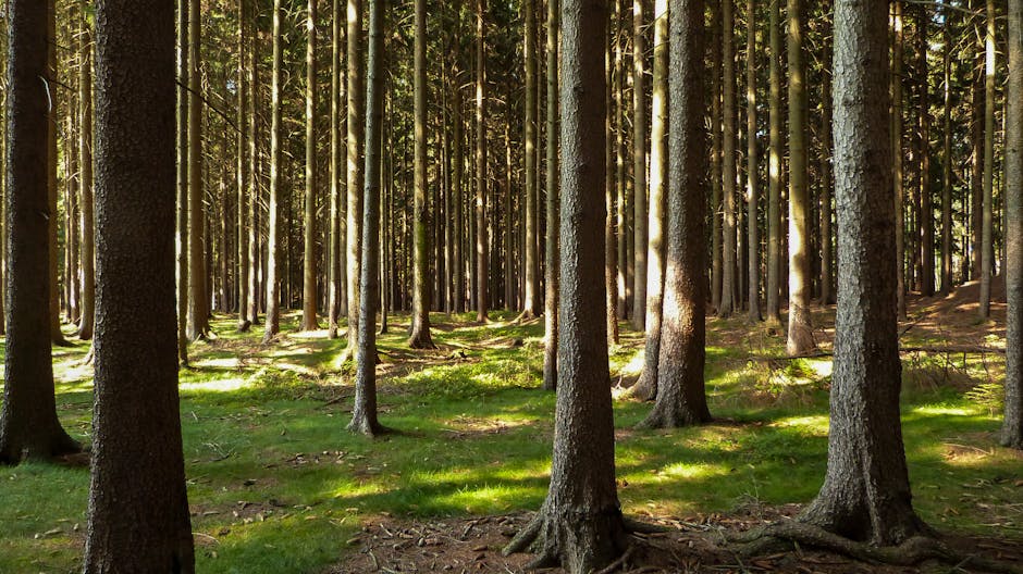 Wie Dopamin Ihre Motivation steuert: Faulheit überwinden & Produktivität steigern