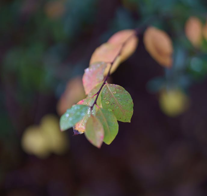 Warum Spinat ein raues Gefühl im Mund verursacht: Die Rolle der Oxalate