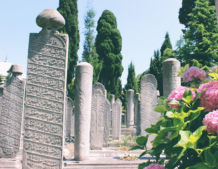 Das Grabmal von Barbaros Hayreddin Pascha: Geschichte, Bedeutung & Mimar Sinans Meisterwerk in Istanbul