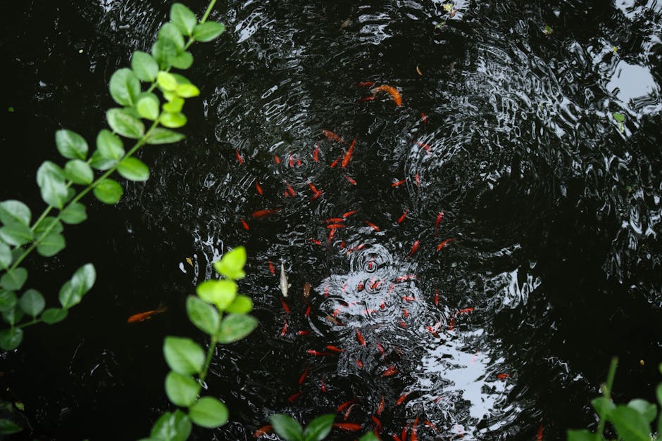 Selbstversorger Teich: Nahrung aus dem Garten – Jahrtausendealtes Wissen für moderne Gärten