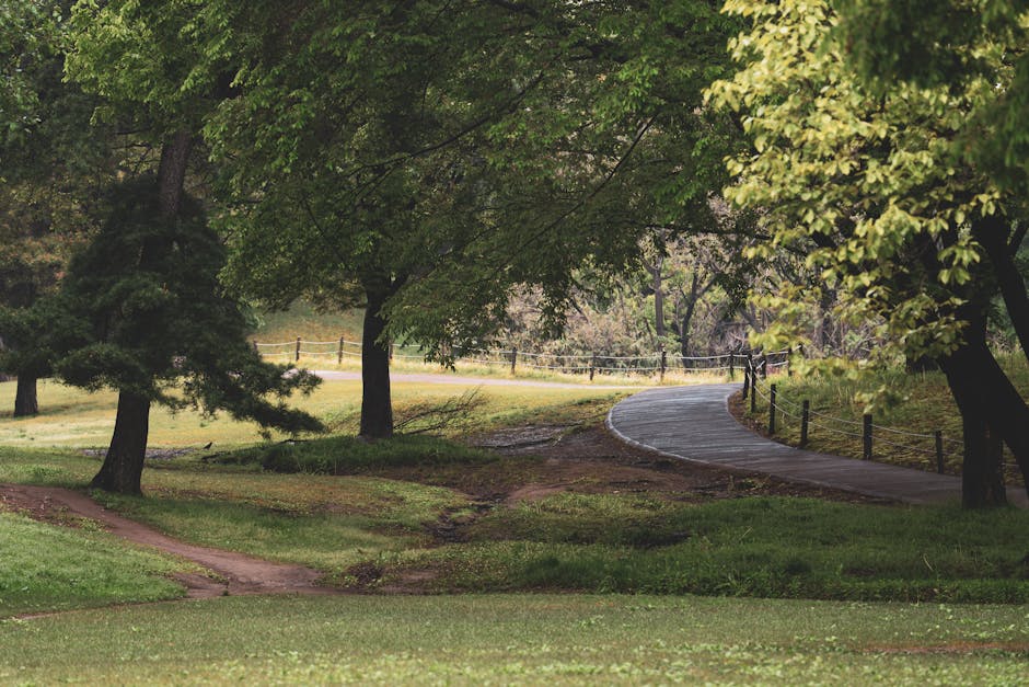Bedeutungsvolle Zufälle: Zufall, Schicksal oder universelle Botschaft?