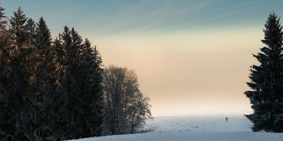 Dopamin-Detox: So trainierst du dein Gehirn für mehr Fokus & Motivation