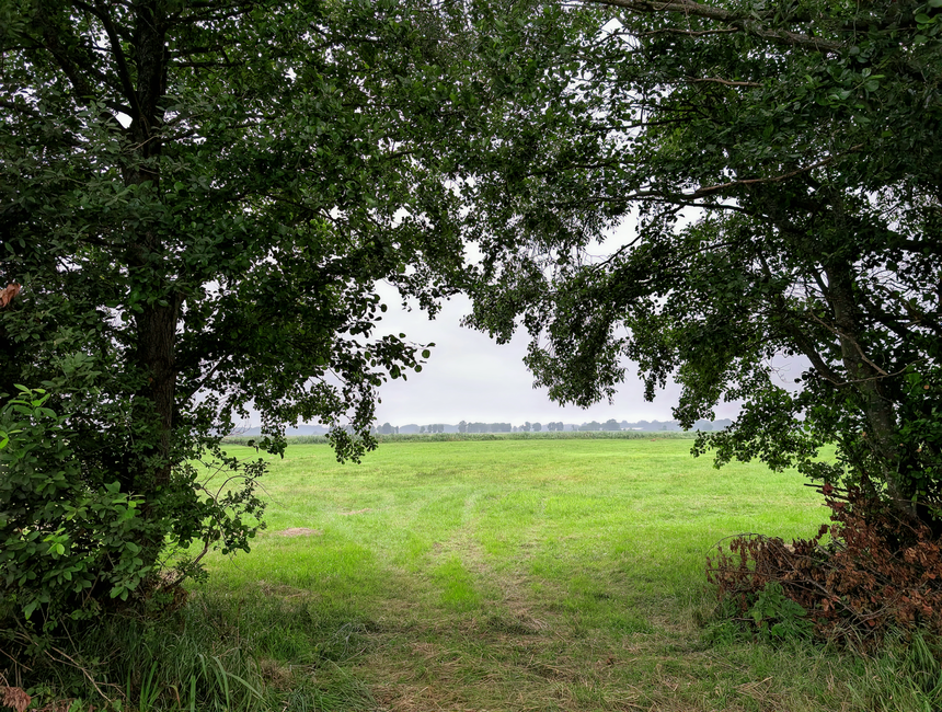 Emotionale Regulation lernen: Wut verstehen, Grenzen setzen & Resilienz aufbauen